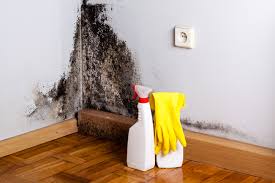 Best Industrial Mold Remediation in Shasta Lake, CA